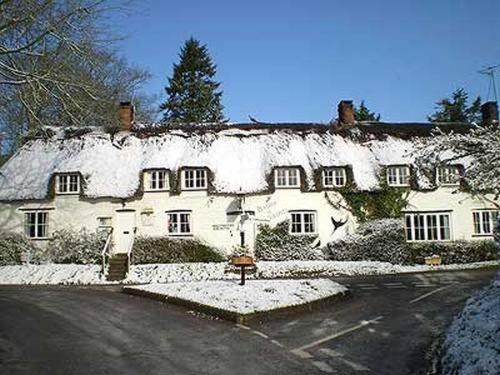 Brace Of Pheasants Hotel Alton Pancras Exterior photo